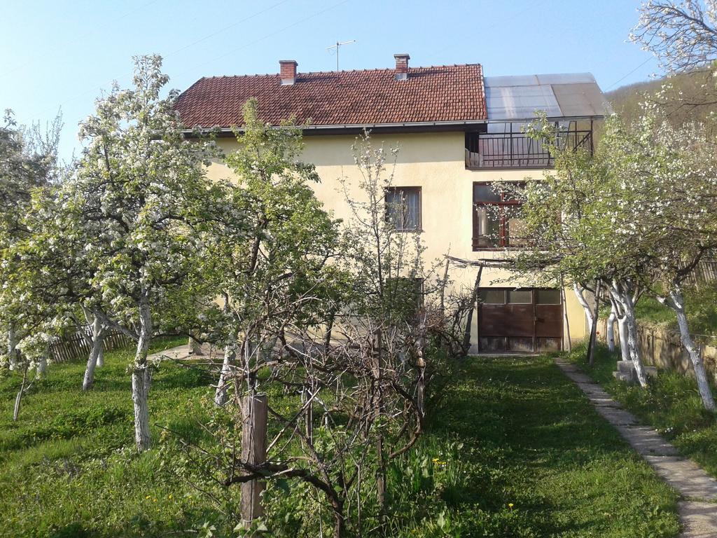Guest House Pribojska Banja מראה חיצוני תמונה